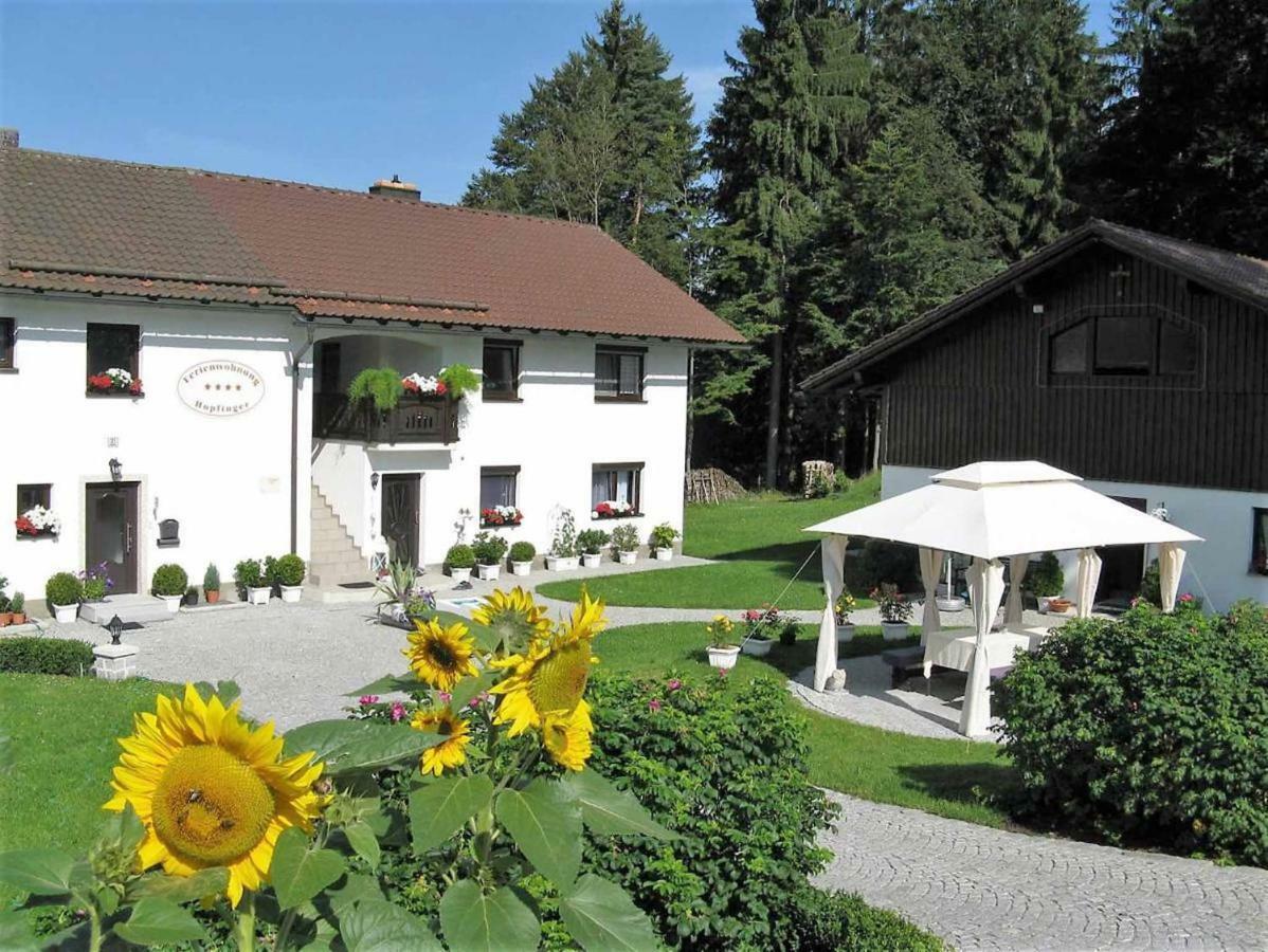 Ferienwohnung Hopfinger Hohenau Exterior photo